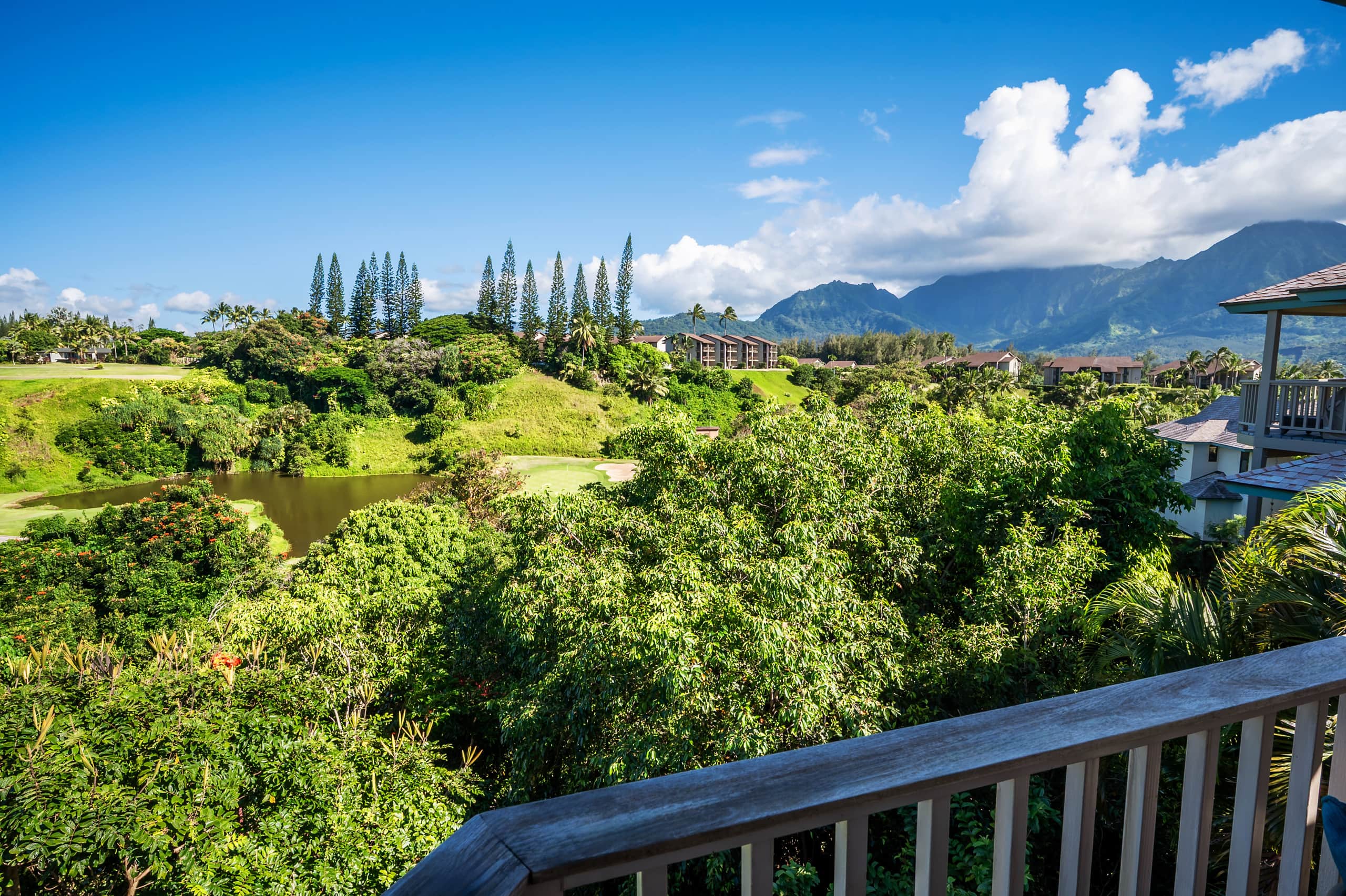 Villa in Princeville · ★5.0 · 2 bedrooms · 2 beds · 2.5 baths - Image 24