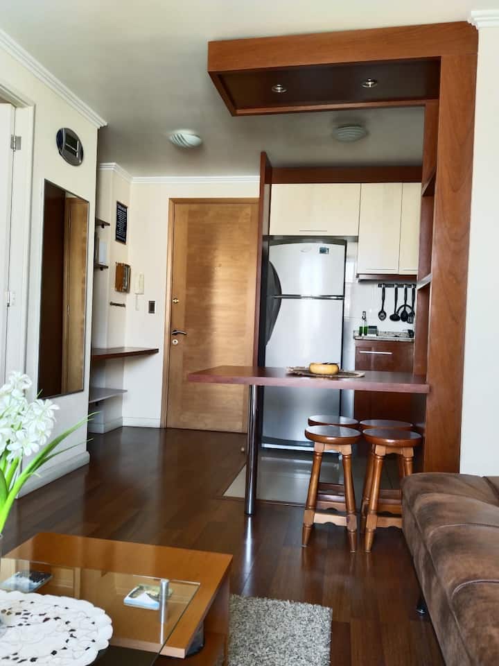 Lindo Departamento Central Con Estacionamiento. - Viña del Mar