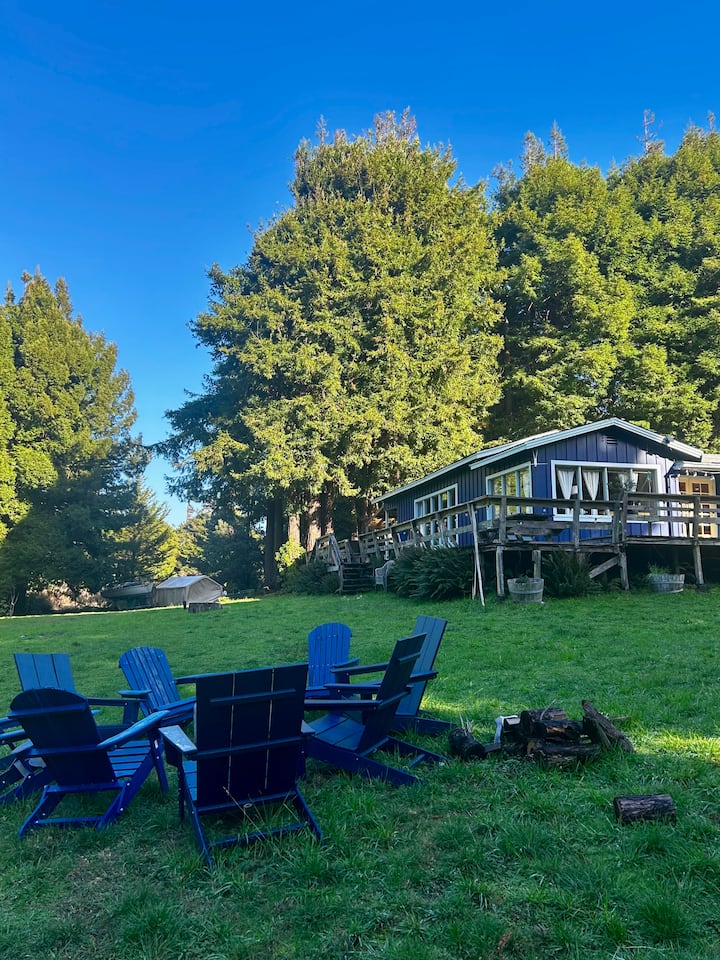 Casa Coyote: Redwoods, Hot Tub, Beach - Glass Beach, CA