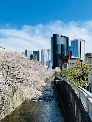 《花苑》2分钟即达新宿／新房8⃣️折【新宿稀有一线河景樱花高端独栋别墅】宽敞舒适／新宿&涩谷都心商圈