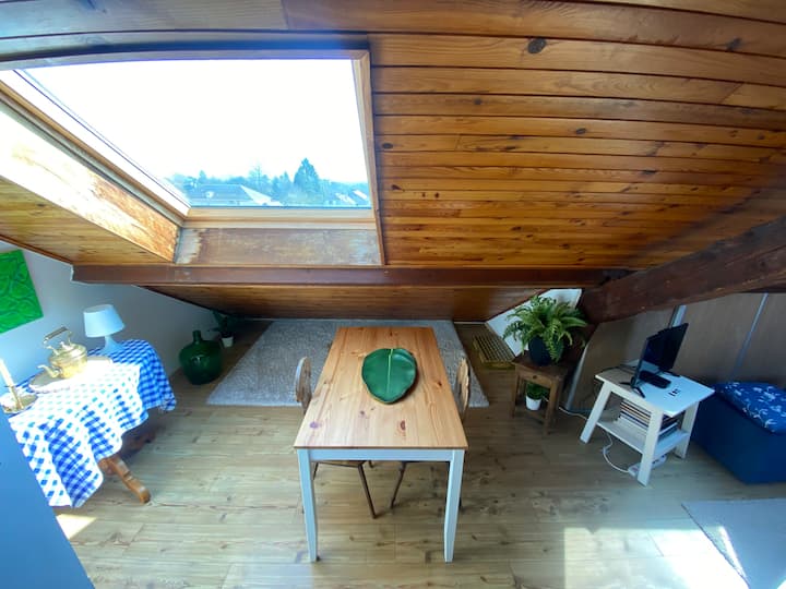 Cozy Attic In The Old Town Of Ferney Voltaire - Ferney-Voltaire