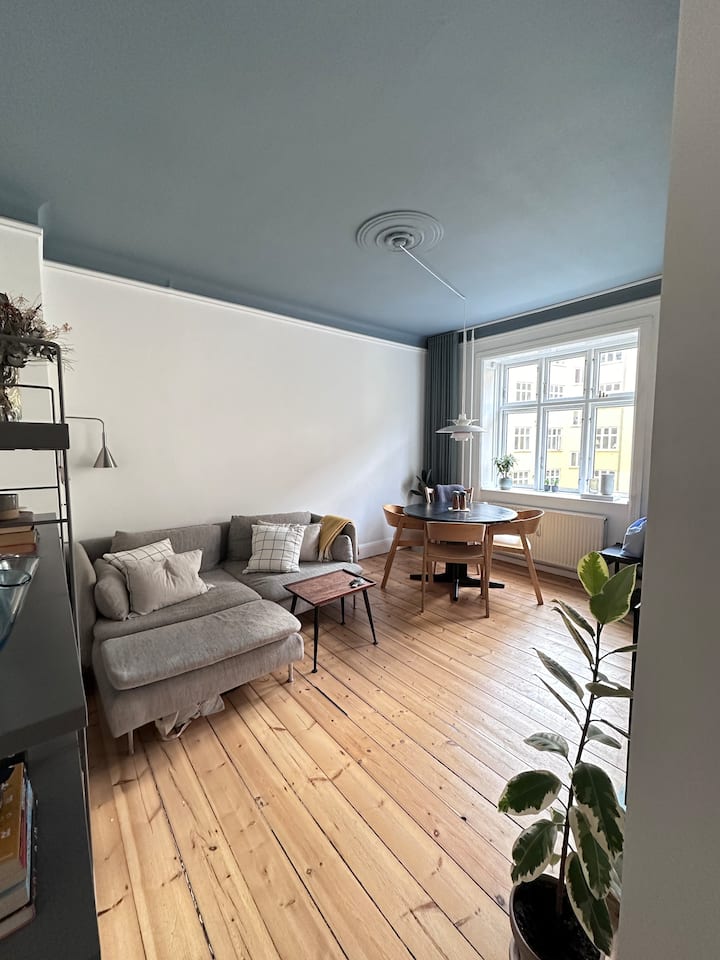 Hjertet Af Vesterbro - Copenhaguen