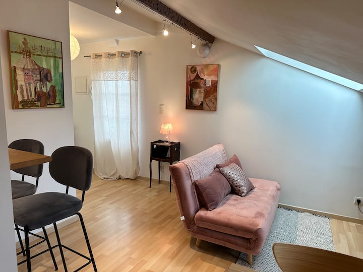 Charmant Appartement Au Cœur De La Ville - Saint-Gaudens