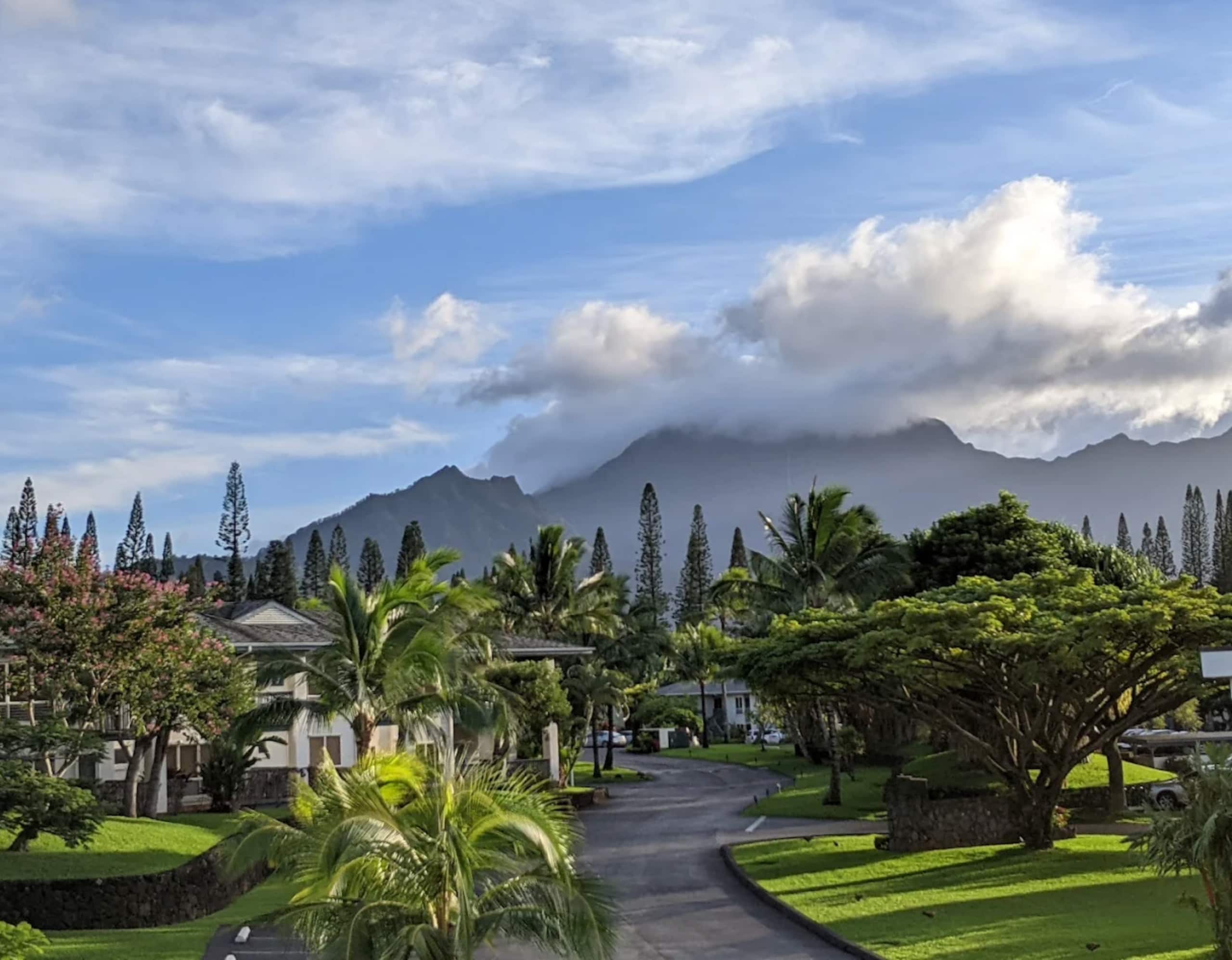Resort in Princeville · ★5.0 · 2 bedrooms · 3 beds · 2 private baths - Image 39