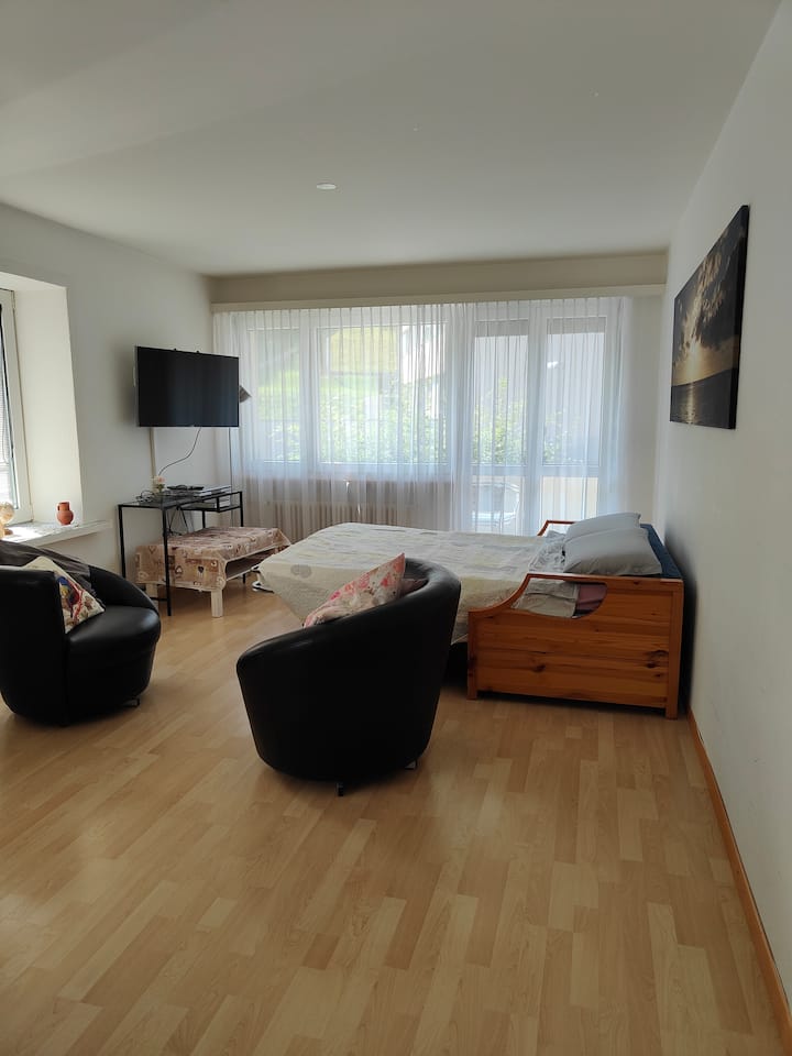 Enjoy 2 Apartments On The Same Street (Very Close) - St. Gallen