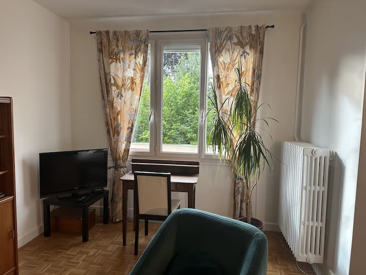 Appartement Le Bastion 7 Voyageurs Centre-ville - Reims