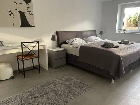 The New Bright Basement Apartment