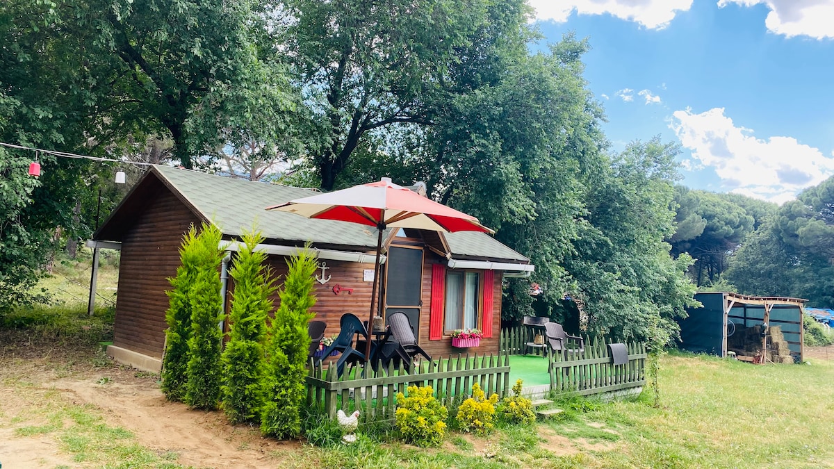 Kozak Bungalov Begonvil Evi.