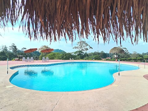 Everything for your vacation in one place