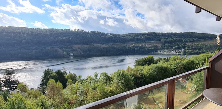 Traumblick Auf Den Titisee | Ruhige Fewo Für 2-4 - Hinterzarten
