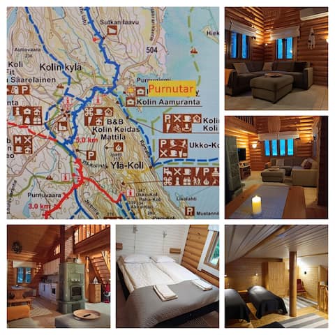 Apartment Purnutar B, walking distance to the national park