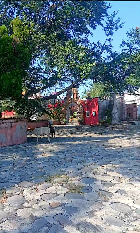 Private Family Hacienda