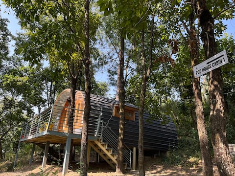 Airva inn
(Unique pod house)