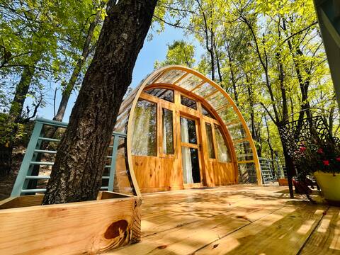 Airva inn 
(Unique pod house)