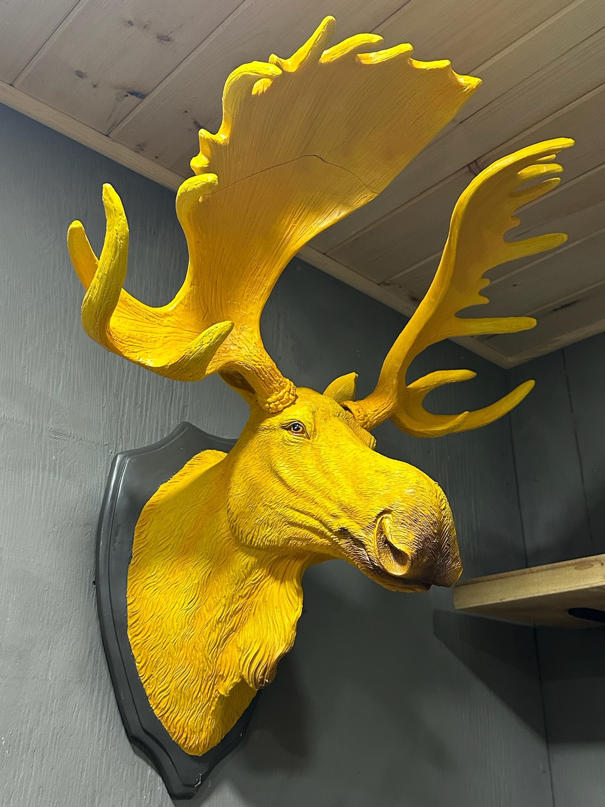 Kjo dhomë ka hyrje të veçantë, me një krevat dopio me tërheqje. 
Në dimër mund të përdoret një dhomë fleksibël për motoskaf/zonë skish në dimër (në ngrohje dyshemeje për pajisje)