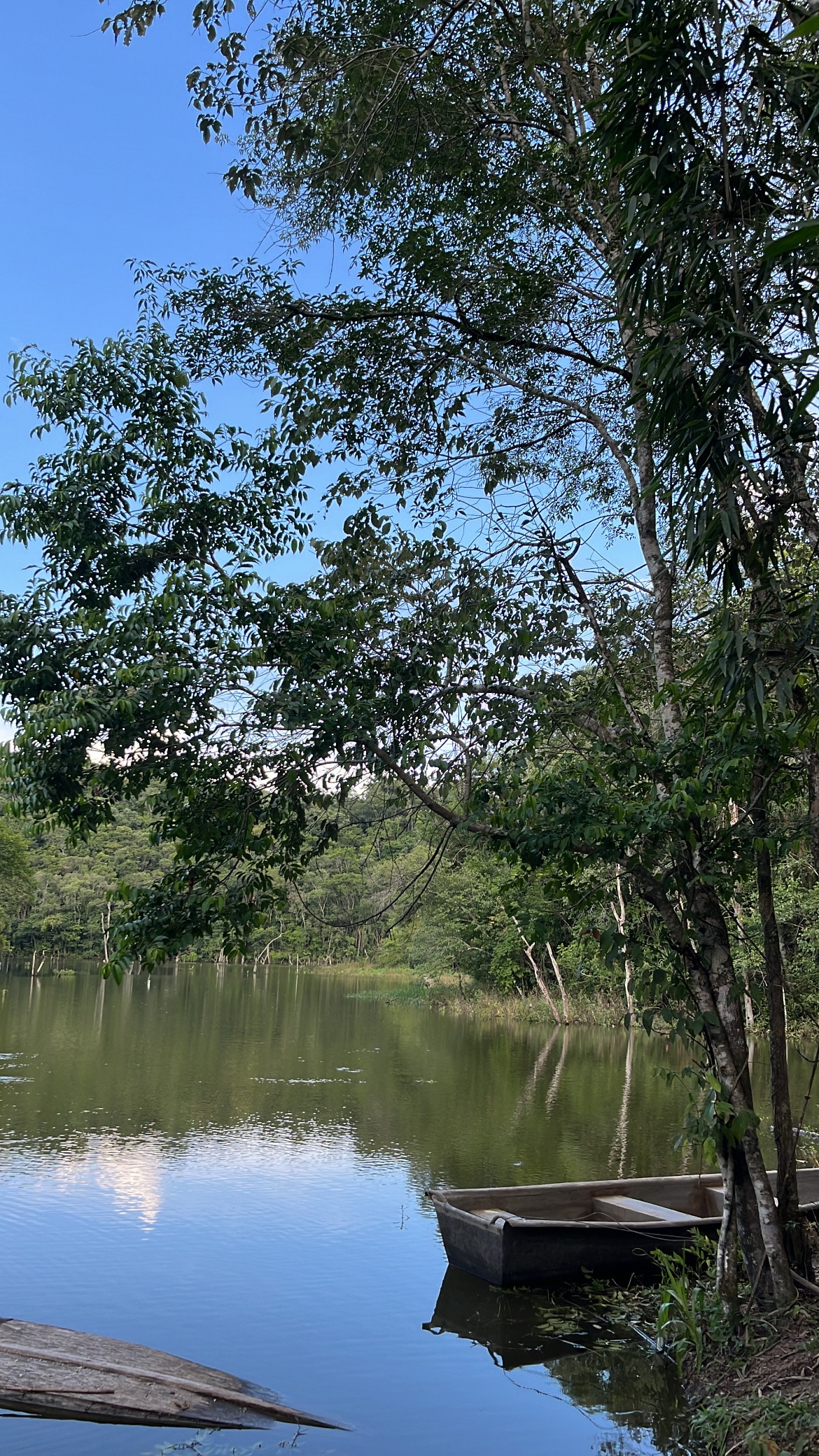 A tranquil water scene is captured, displaying still waters reflecting the blue sky and surrounding greenery. Trees frame the area, and a small boat rests at the water's edge, inviting relaxation and peaceful moments by the water.