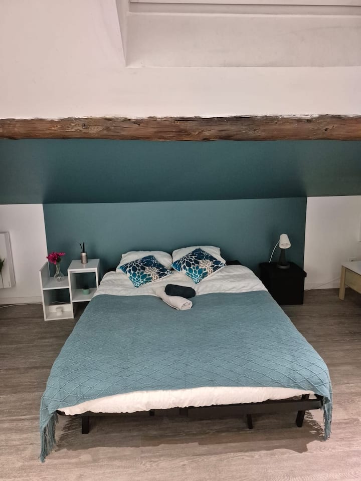 Studio Cosy Gare Châteaucreux Wifi Autonome - Saint-Étienne