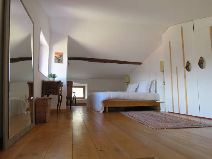 Romarin - Montbrun-les-Bains