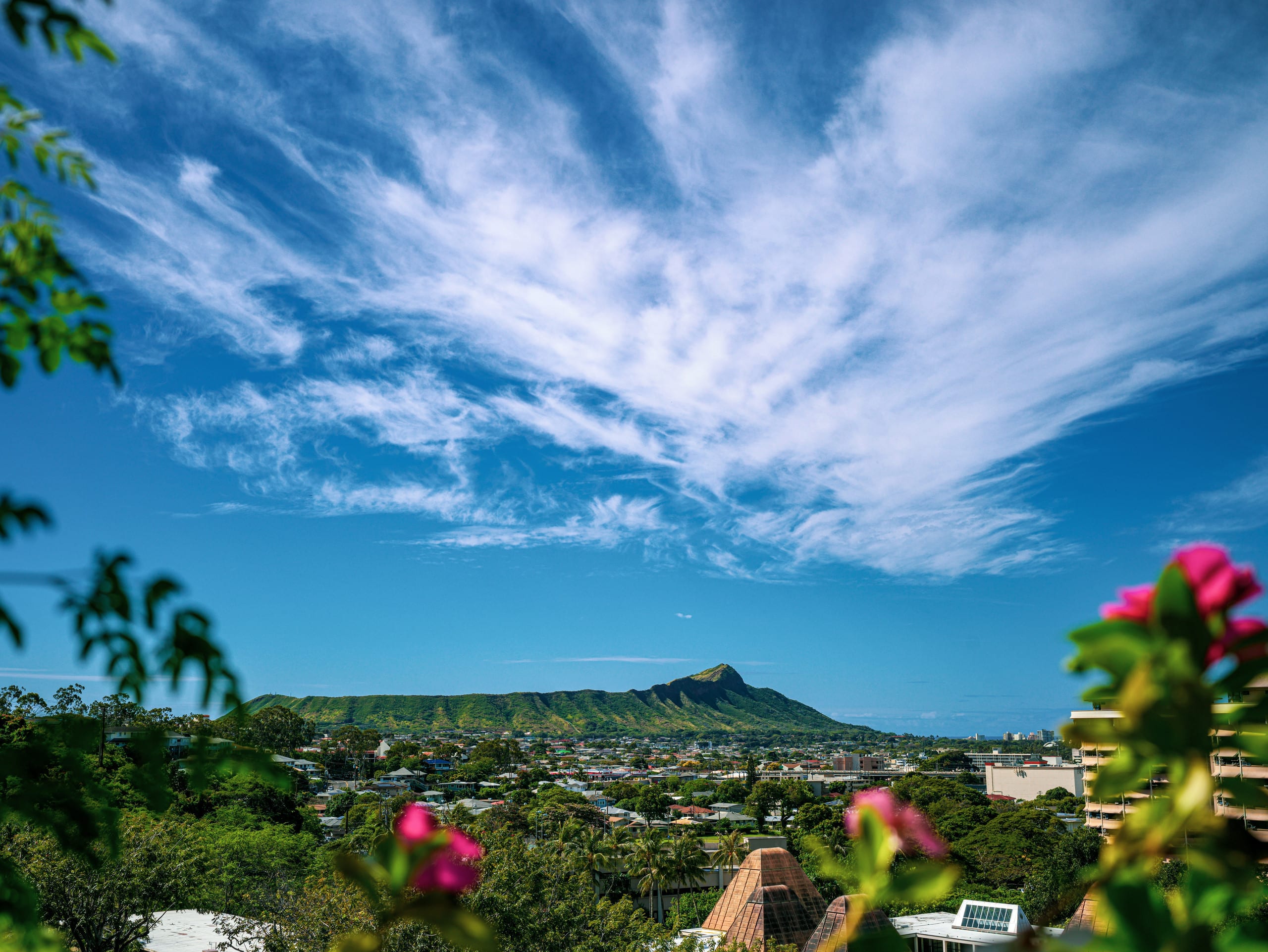 Condo in Honolulu · ★4.83 · 1 bedroom · 3 beds · 1 private bath - Image 34