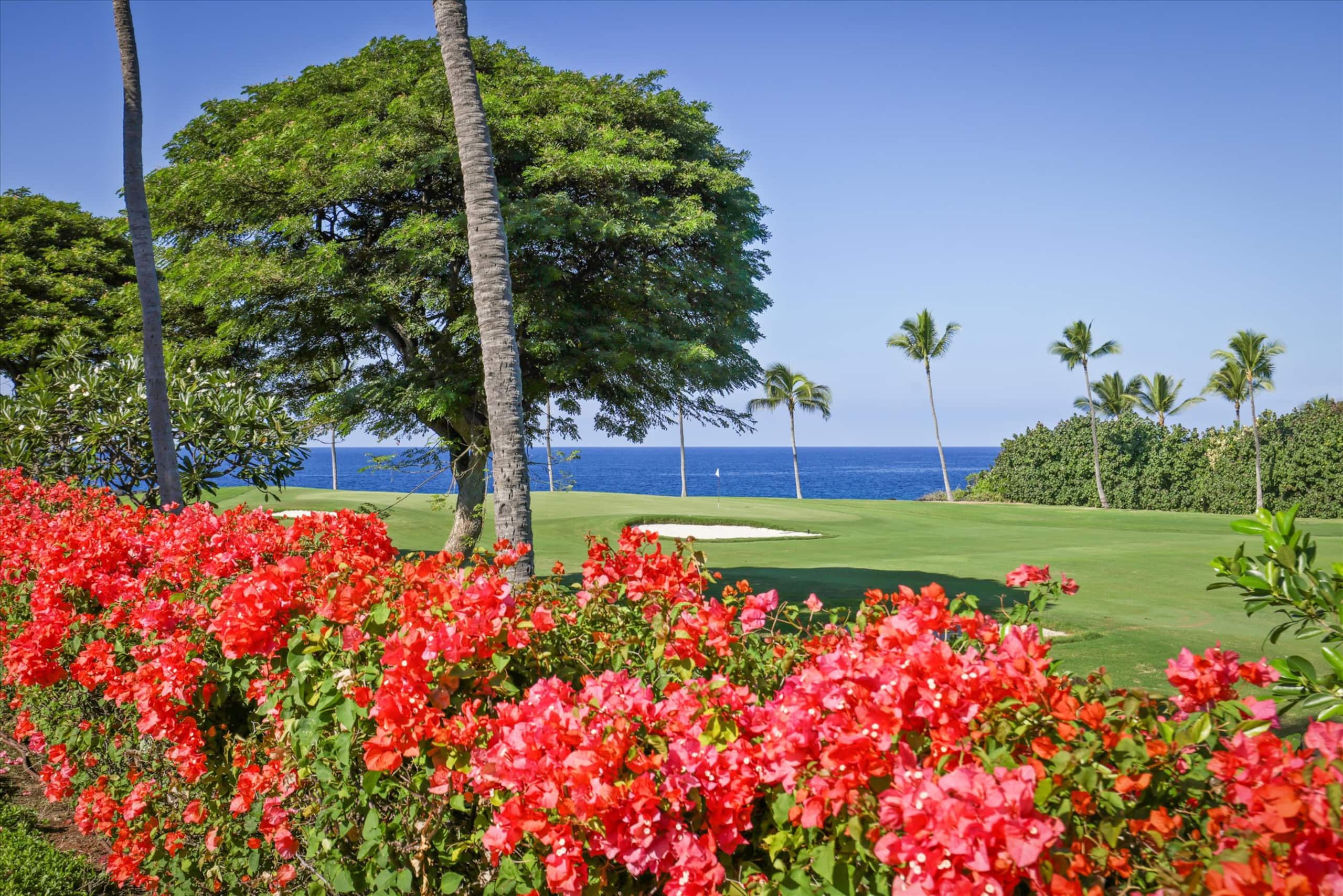 Home in Kailua-Kona · ★5.0 · 3 bedrooms · 4 beds · 3.5 baths - Image 24