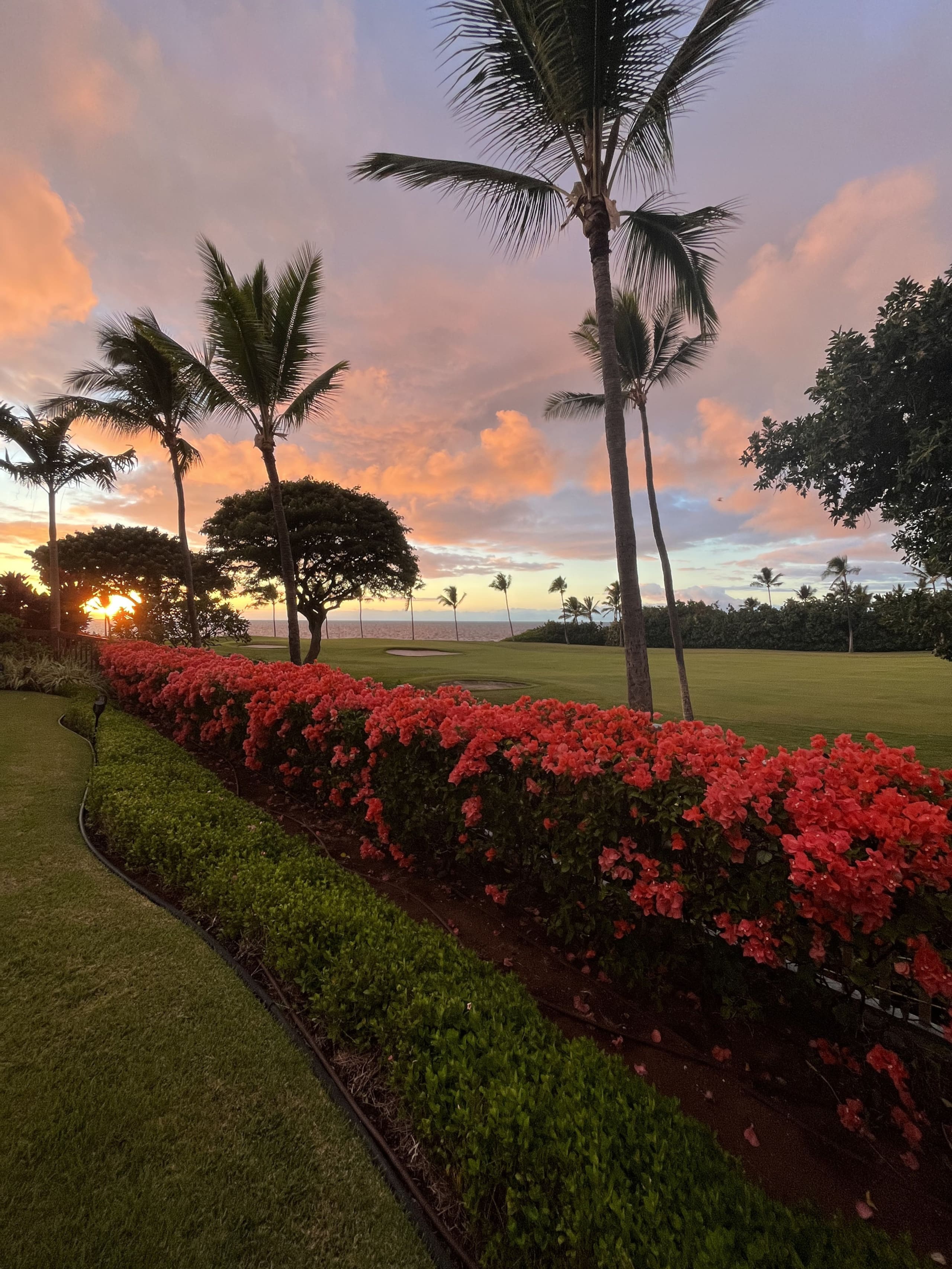 Home in Kailua-Kona · ★5.0 · 3 bedrooms · 4 beds · 3.5 baths - Image 36