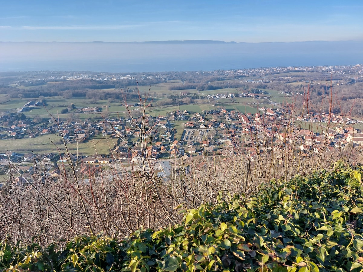 A panoramic view showcases a vast landscape filled with residential areas, fields, and patches of trees. The serene body of water is visible in the distance, with a soft blue sky above, enhancing the natural beauty of the setting.