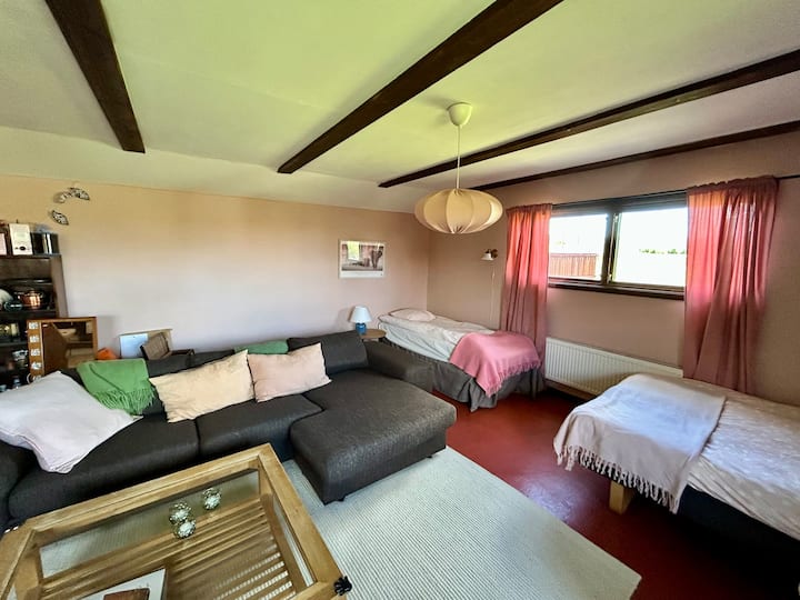 Диван (на който може да се спи), единично легло 90 см и 120 легла. Телевизорът е в стаята. 