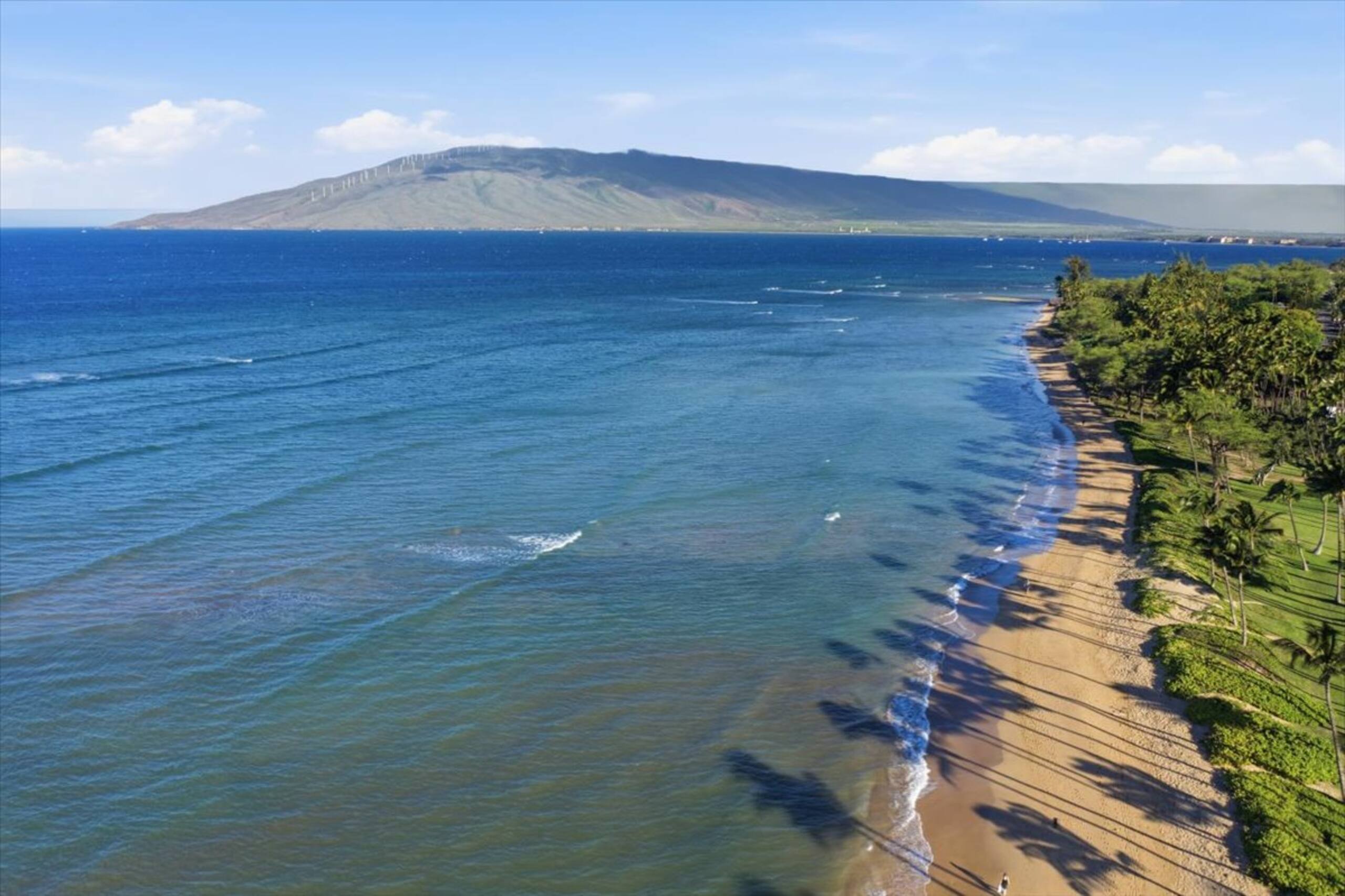 Condo in Kihei · ★4.82 · 2 bedrooms · 2 beds · 1 private bath - Image 42