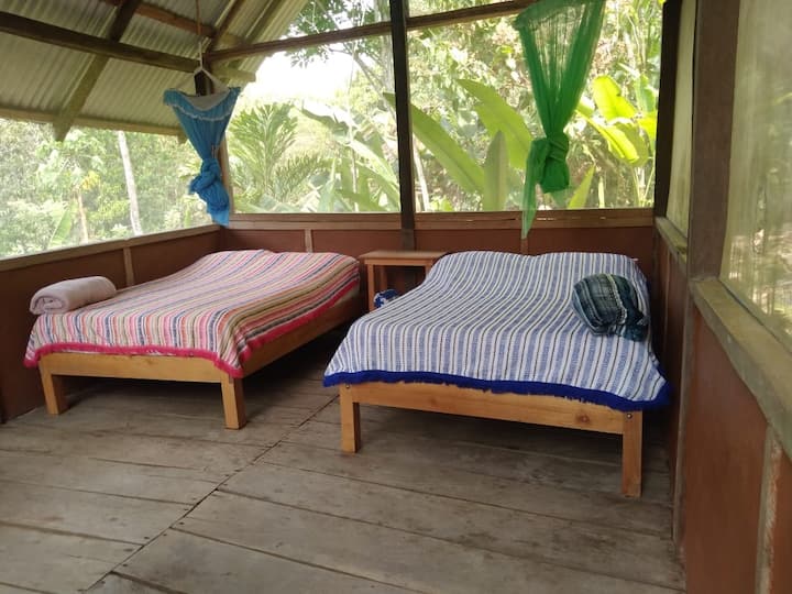 Jungle Cabin Mayan Experience - Near Palenque Site - México