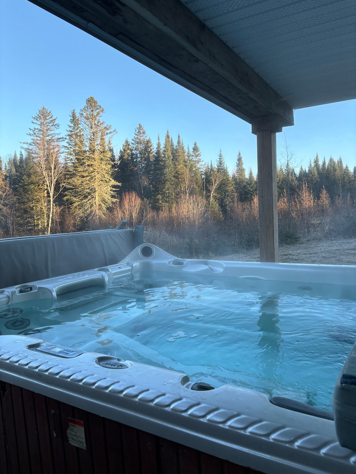 A hot tub is positioned under a covered area, with steam rising above the water's surface. The backdrop features a natural landscape of evergreen trees and a clear blue sky, creating a serene environment for relaxation.