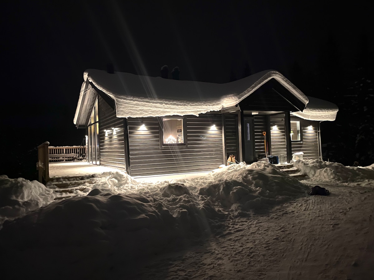The exterior of a modern mountain cabin is showcased at night, illuminated by soft outdoor lighting. Snow blankets the ground, and the roof is adorned with a thick layer of snow. A spacious deck extends from the cabin, enhancing the inviting atmosphere.