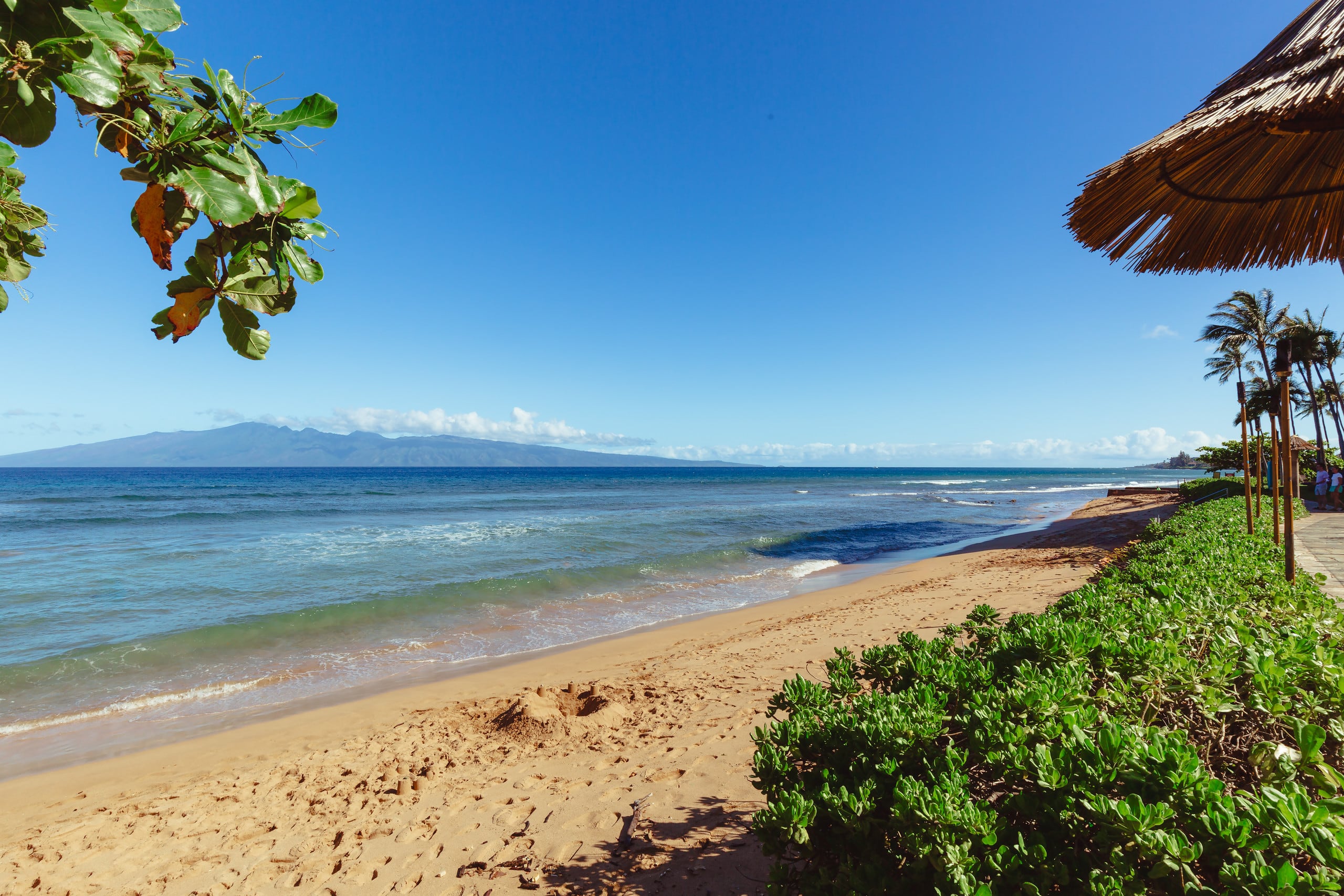 Condo in Lahaina · ★4.9 · 1 bedroom · 3 beds · 1 bath - Image 31