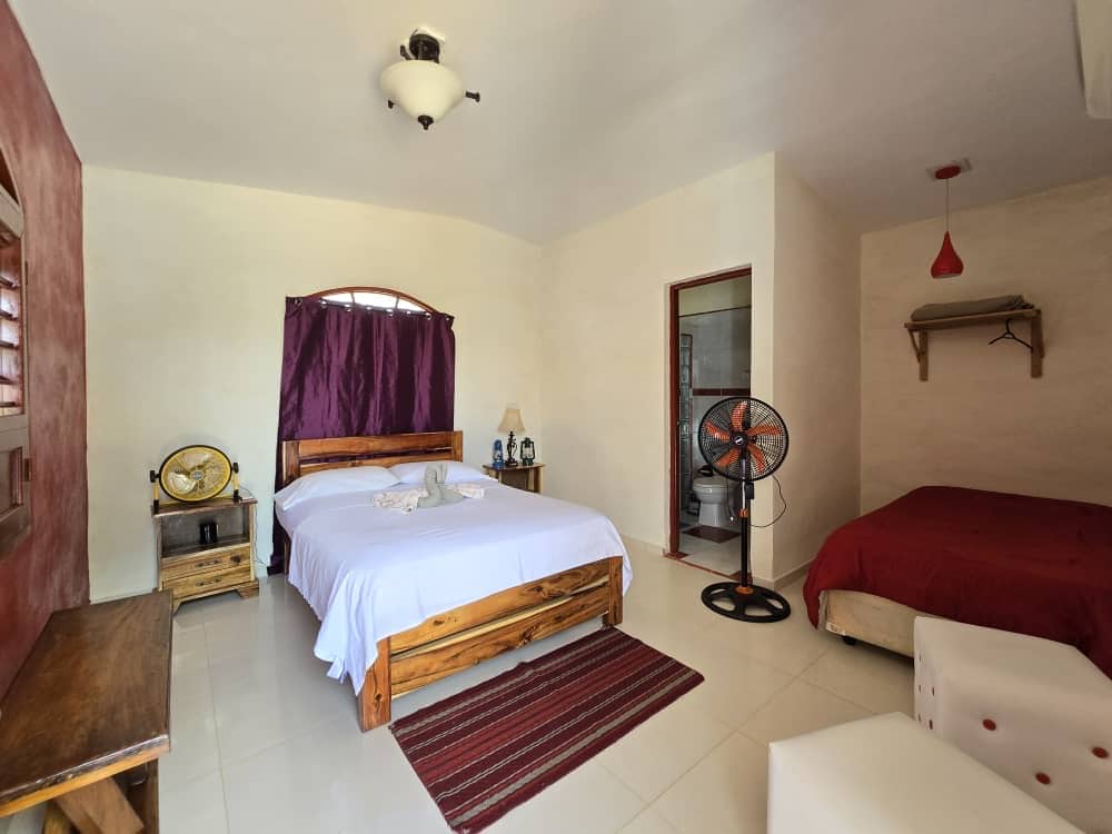 A spacious bedroom features a large bed dressed in white linens, complemented by a red accent wall. A fan circulates air near a smaller bed, while a wooden table and chair provide functional decor. Natural light enters through a window adorned with dark curtains.