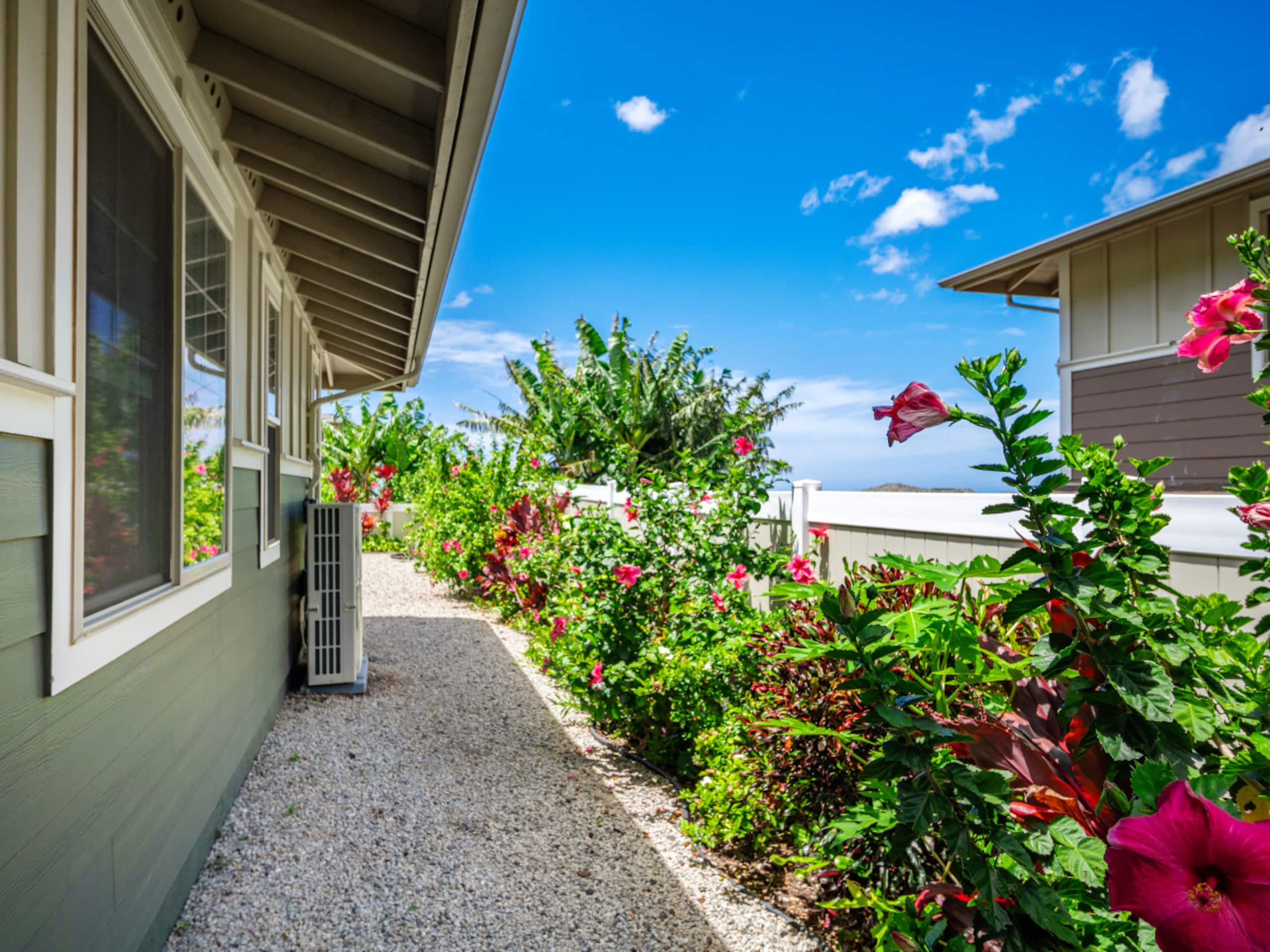 Home in Waianae · ★4.98 · 3 bedrooms · 6 beds · 2 private baths - Image 49