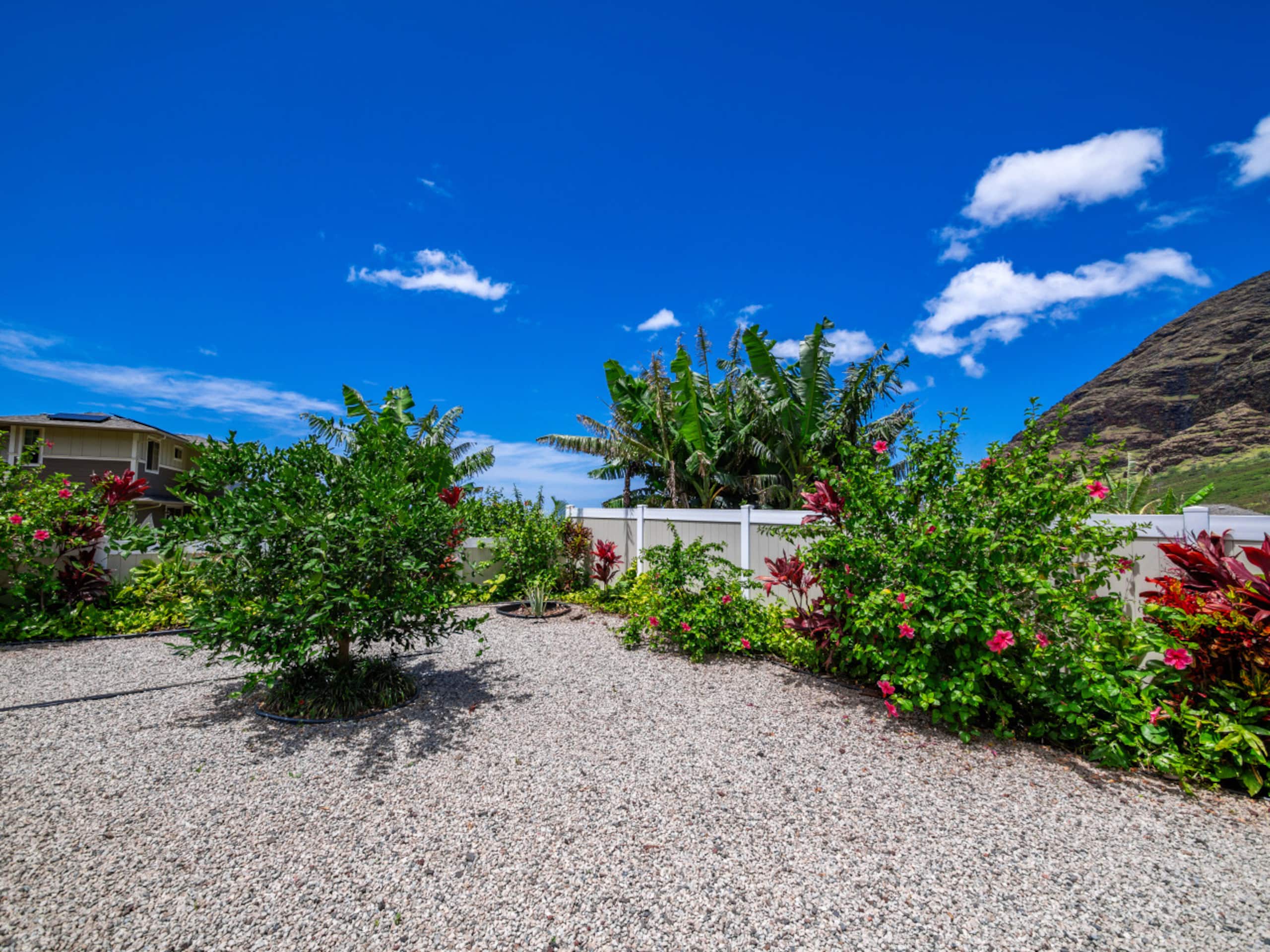 Home in Waianae · ★4.98 · 3 bedrooms · 6 beds · 2 private baths - Image 50