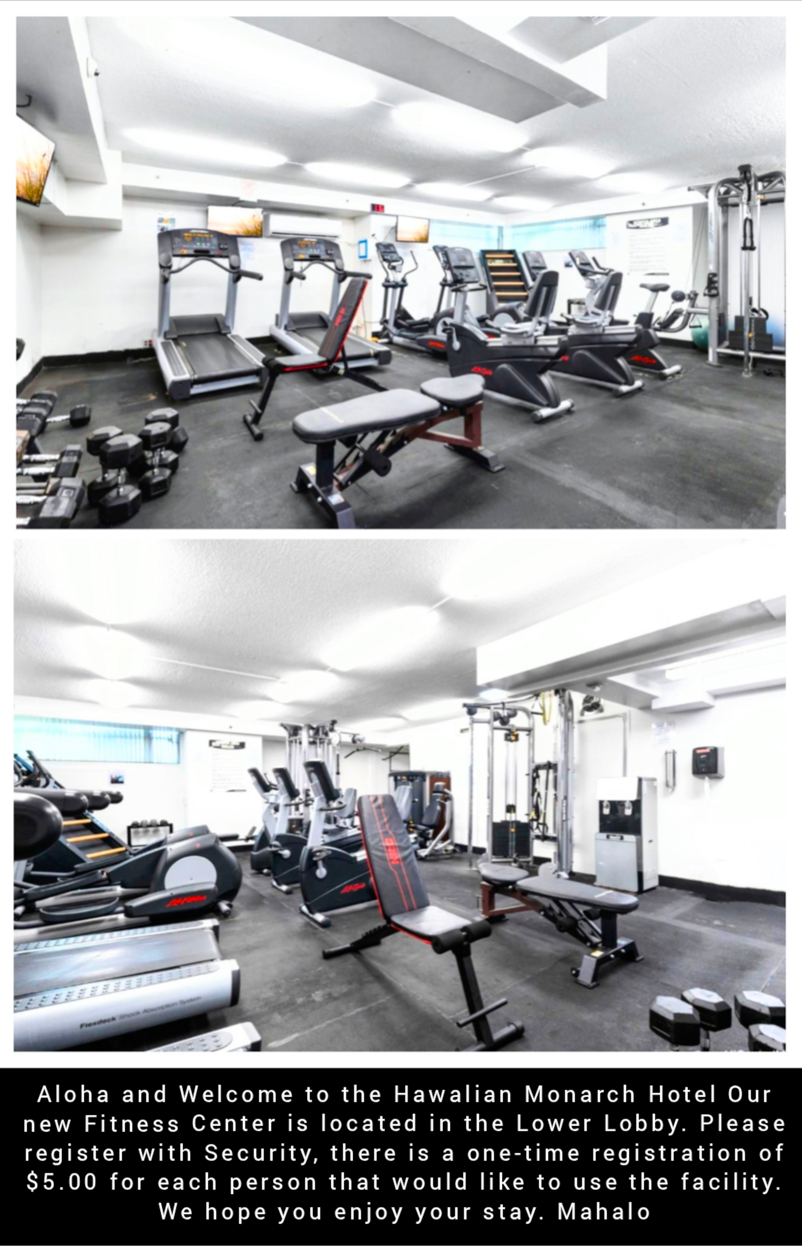 Hotel in Honolulu · ★4.97 · Studio · 1 bed · 1 private bath - Image 28