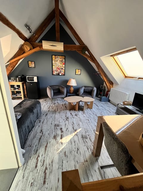 Popular Airbnb listing: Air-conditioned studio with private entrance at the back of the garden in Le Mans
