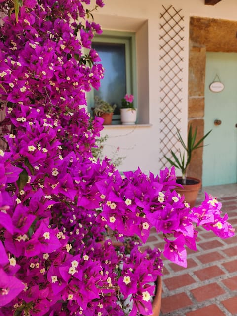 Rural Accommodation
"La Esmeralda"