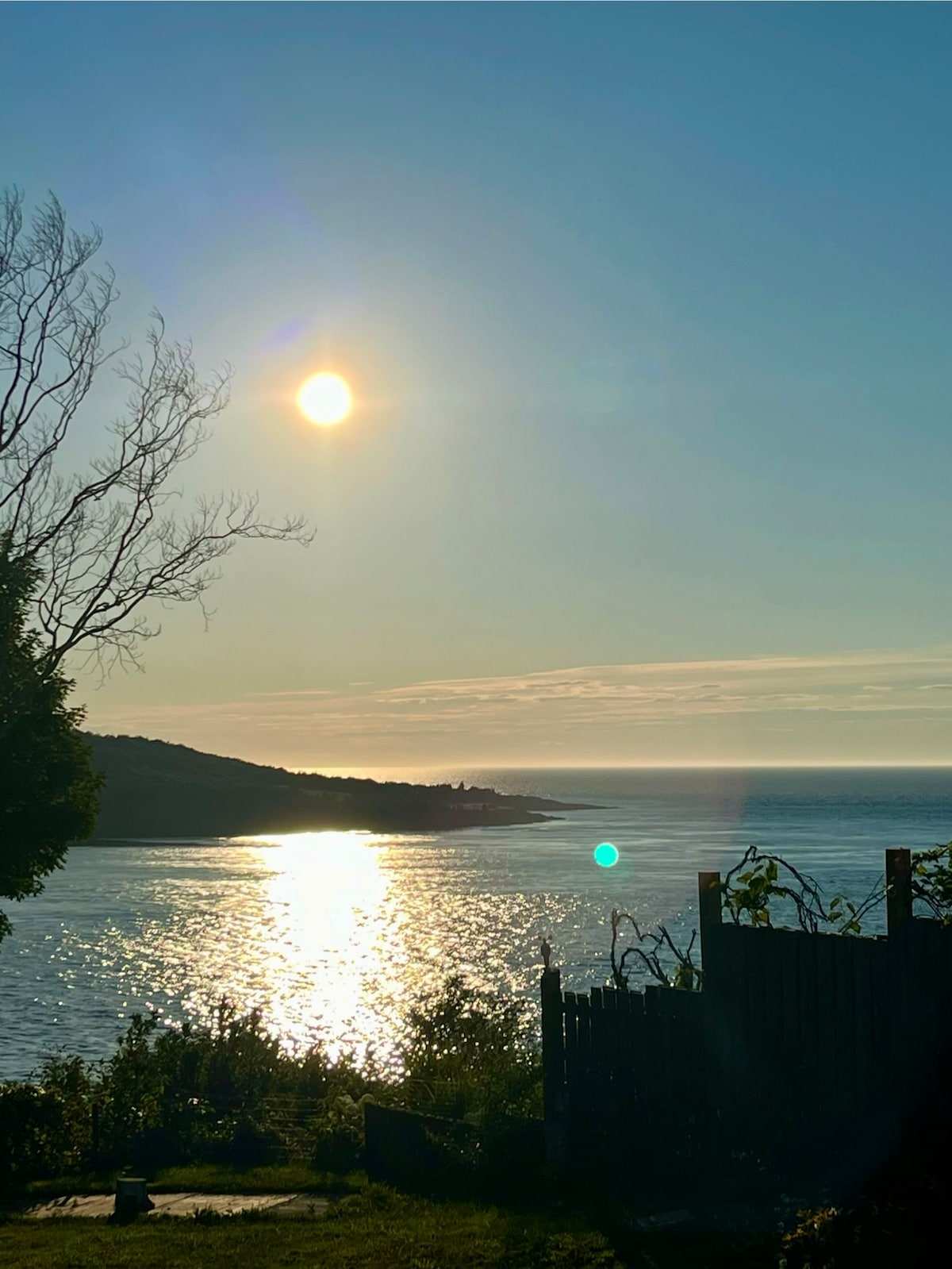 A view of the Bay of Fundy under a clear sky, showcasing the sun reflecting on the shimmering water. The landscape features a distant shoreline with rolling hills, framed by trees and plants in the foreground. A peaceful coastal scene is presented.