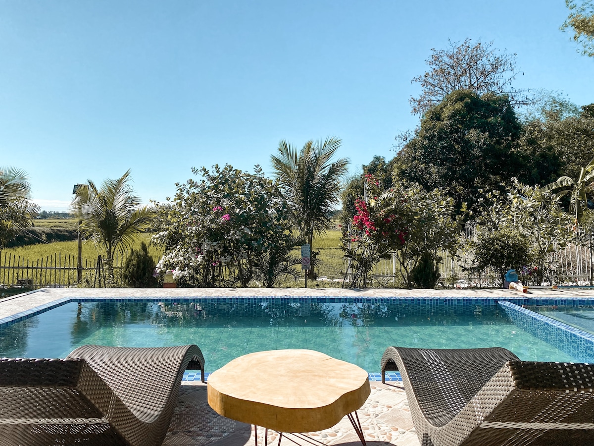 The outdoor area features a swimming pool surrounded by lounge chairs, offering a clear view of lush greenery and farm fields. Decorative plants and trees frame the space, adding natural beauty to the tranquil setting. A circular wooden table is placed between the lounge chairs.