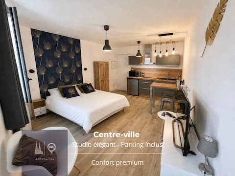 Successful Airbnb property: Studio central, parking, lit Queen by ALP Chartres in Chartres