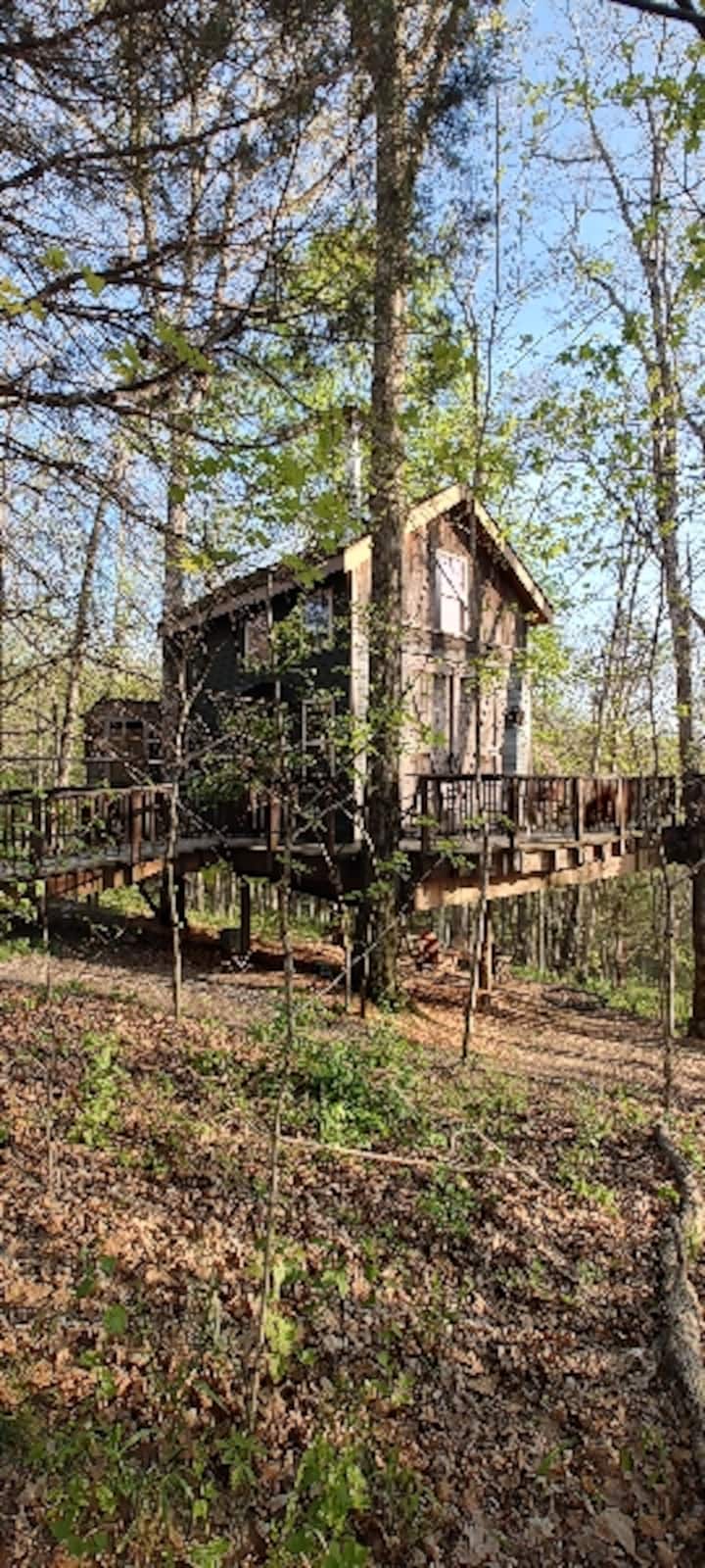 KY Climbers Hideaway- Pete Nelson designed & built - Treehouses