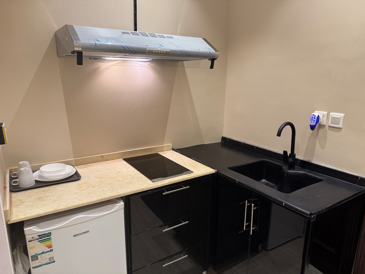 A modern kitchenette showcases sleek black cabinetry paired with a light-colored countertop. An induction cooktop is positioned beside a black sink, complemented by a range hood above. A compact refrigerator is visible, along with dishes neatly arranged on a tray.