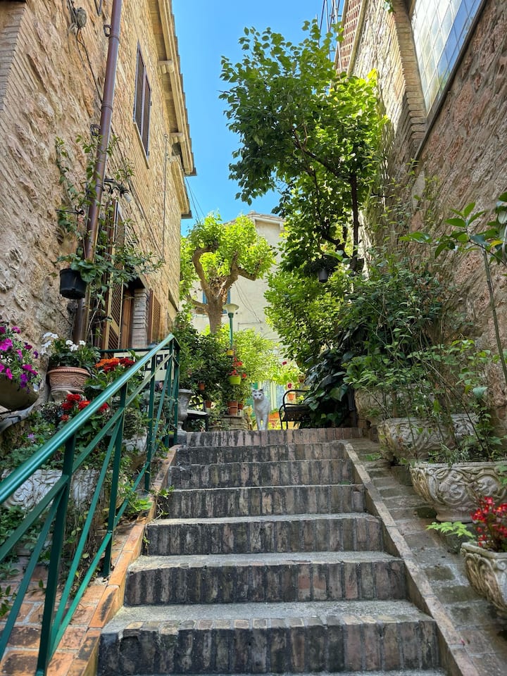 Centro Storico Di Assisi Giardino - ウンブリア