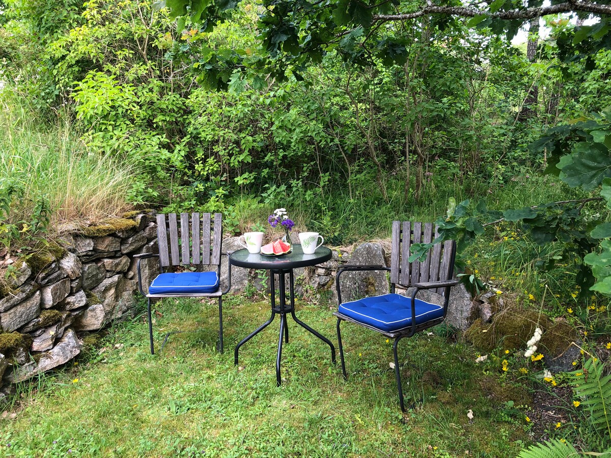 A small outdoor seating area is set amidst lush greenery, featuring two wooden chairs with blue cushions and a round black table. The table holds two cups and a small vase with flowers, surrounded by natural stone and wildflowers, creating an inviting spot for relaxation.