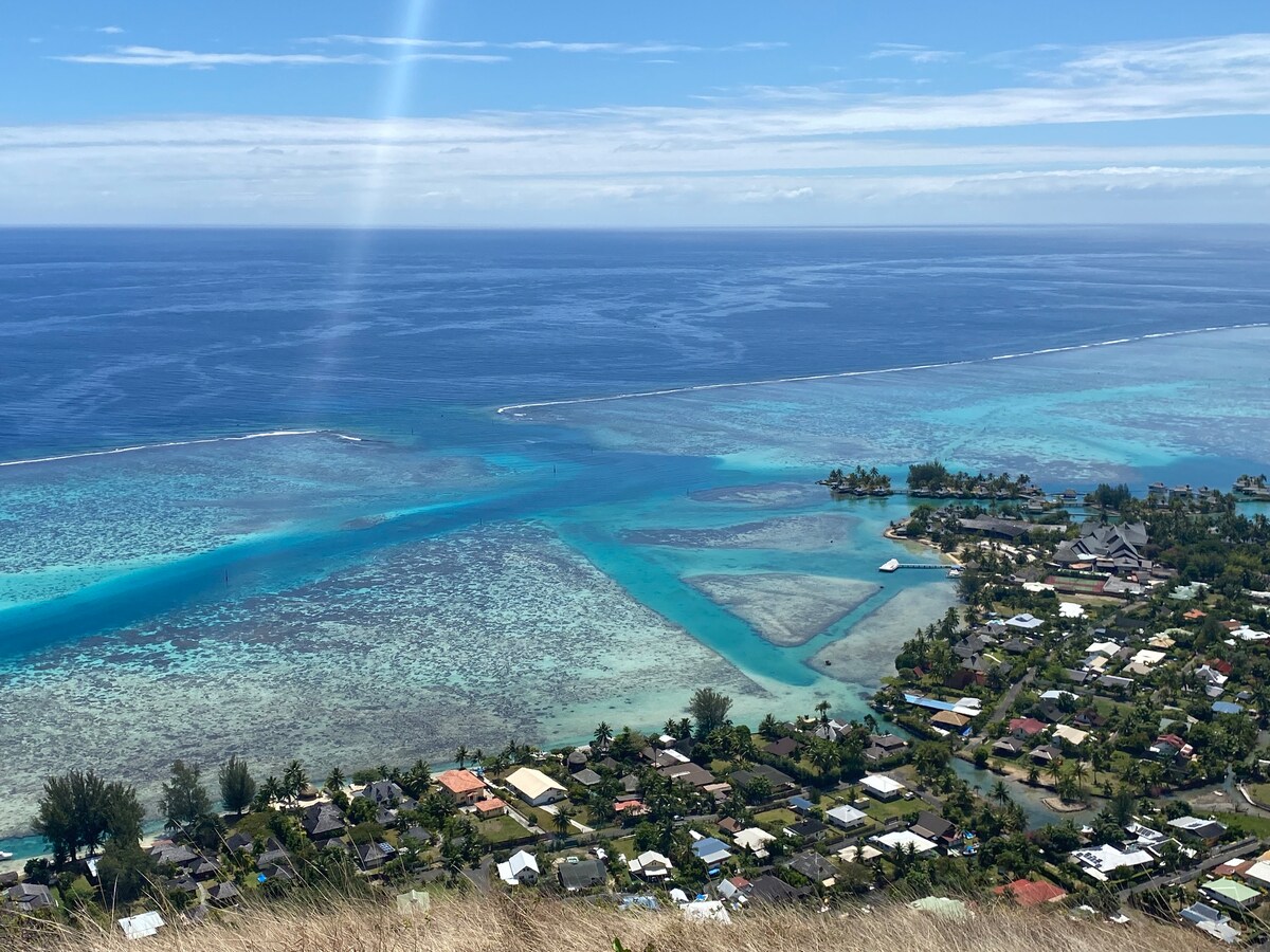 A scenic view captures the vibrant blue waters of a lagoon, framed by lush greenery and small coastal settlements. The varying shades of turquoise contrast with the sandy shallows, while the distant horizon merges with a clear blue sky, showcasing the natural beauty of the island.