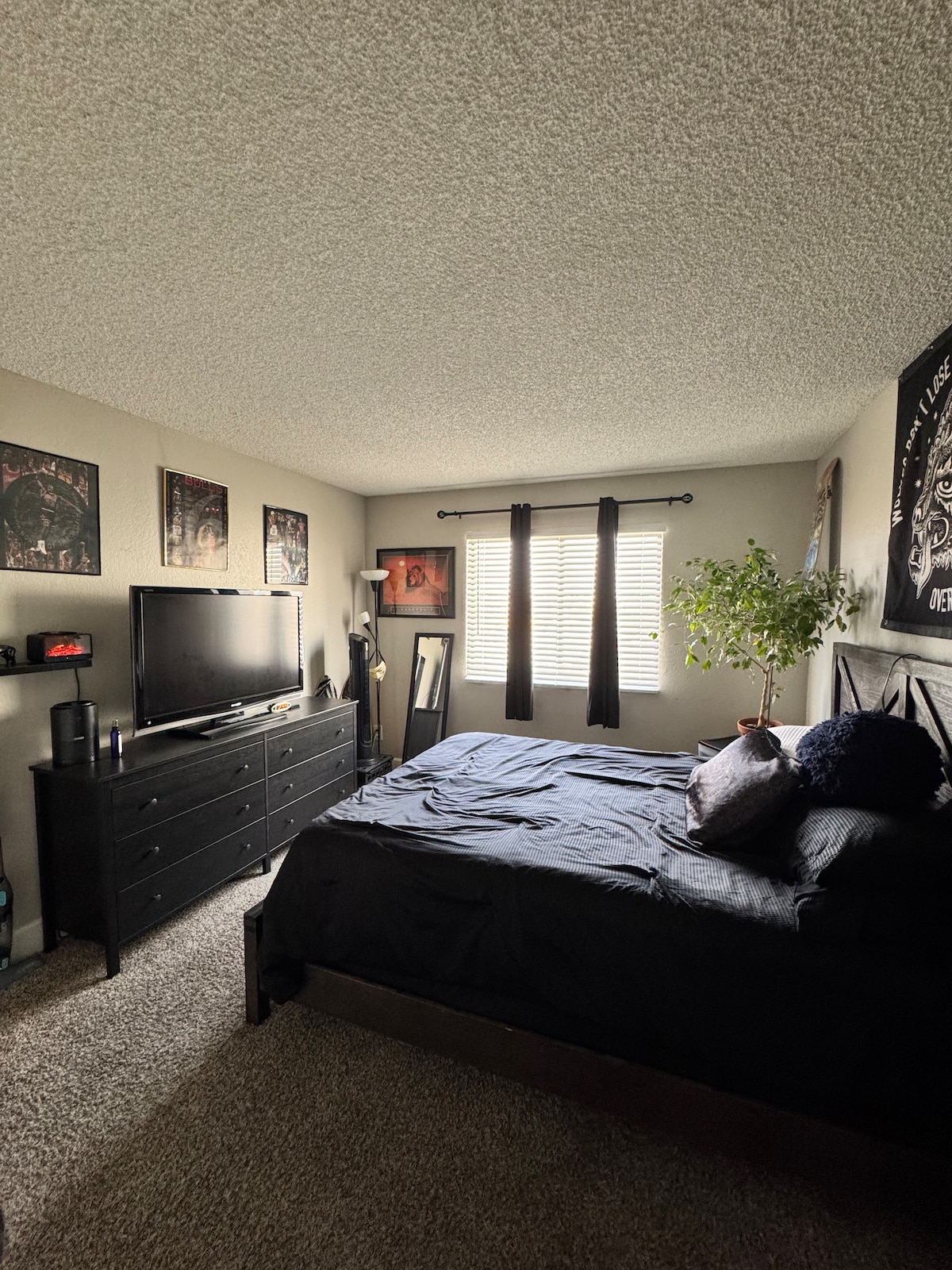 A spacious bedroom features a dark bed covered with a solid black blanket. A wooden dresser holds a flat-screen television, while natural light filters through blinds on two windows. Decorative wall art and a green plant add character to the space.