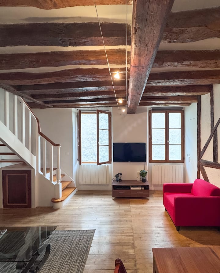 Duplex De Charme Avec Cour Intérieure - Fontainebleau