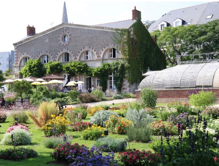 A vibrant garden surrounds a historic building, featuring lush greenery and a variety of colorful flowers. The scene includes outdoor seating under umbrellas, with a greenhouse visible to the right. Soft sunlight illuminates the flowers, creating a calm and inviting outdoor space.