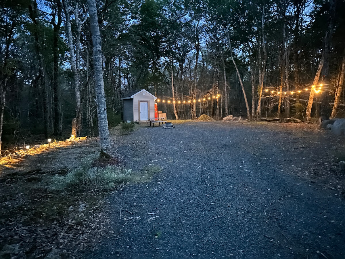 A spacious campsite is surrounded by trees, illuminated by soft string lights. A small shed is visible in the background, while gravel pathways are lined with stones. The area is serene, with a natural feel enhanced by the evening light.